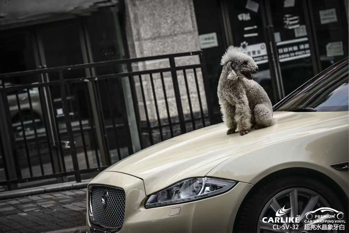 CARLIKE卡莱克™CL-SV-32捷豹超亮水晶象牙白汽车改色膜定西贴膜效果图